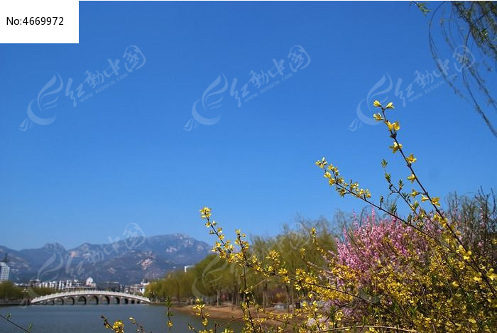 蓝天下的城市园林公园风光