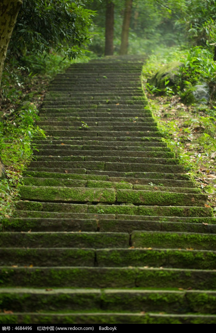 山路青苔石板