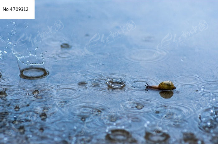 蜗牛雨滴