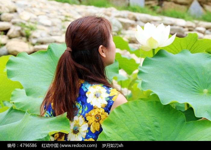 原创摄影图 动物植物 花卉花草 美女赏莲  素材描述:红动网提供花卉