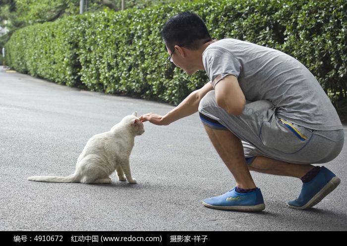 逗猫的青年