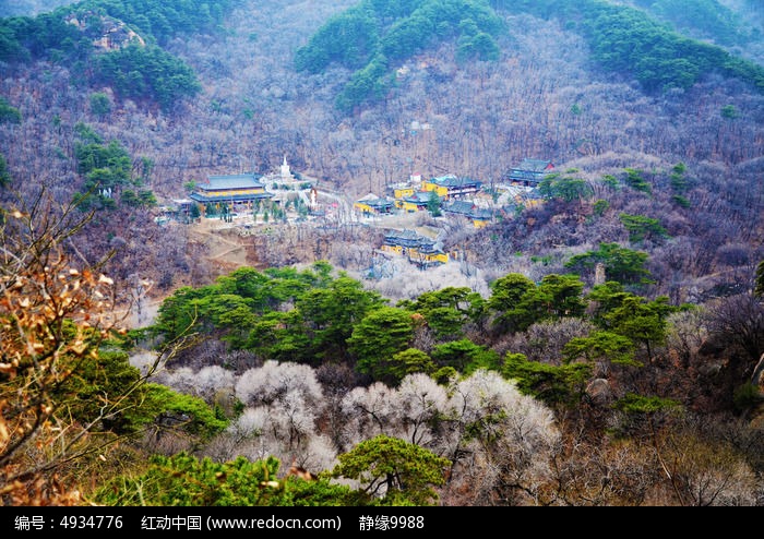 千山灵岩寺与山林