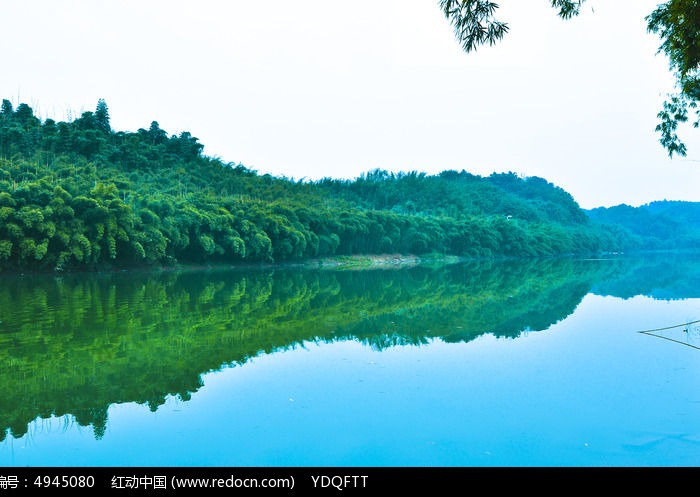 竹海大气简洁风景