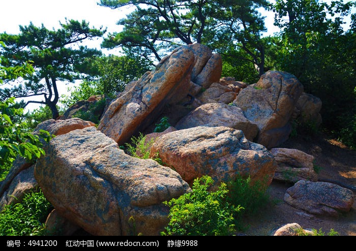 千山无量观之朝天蛙近景