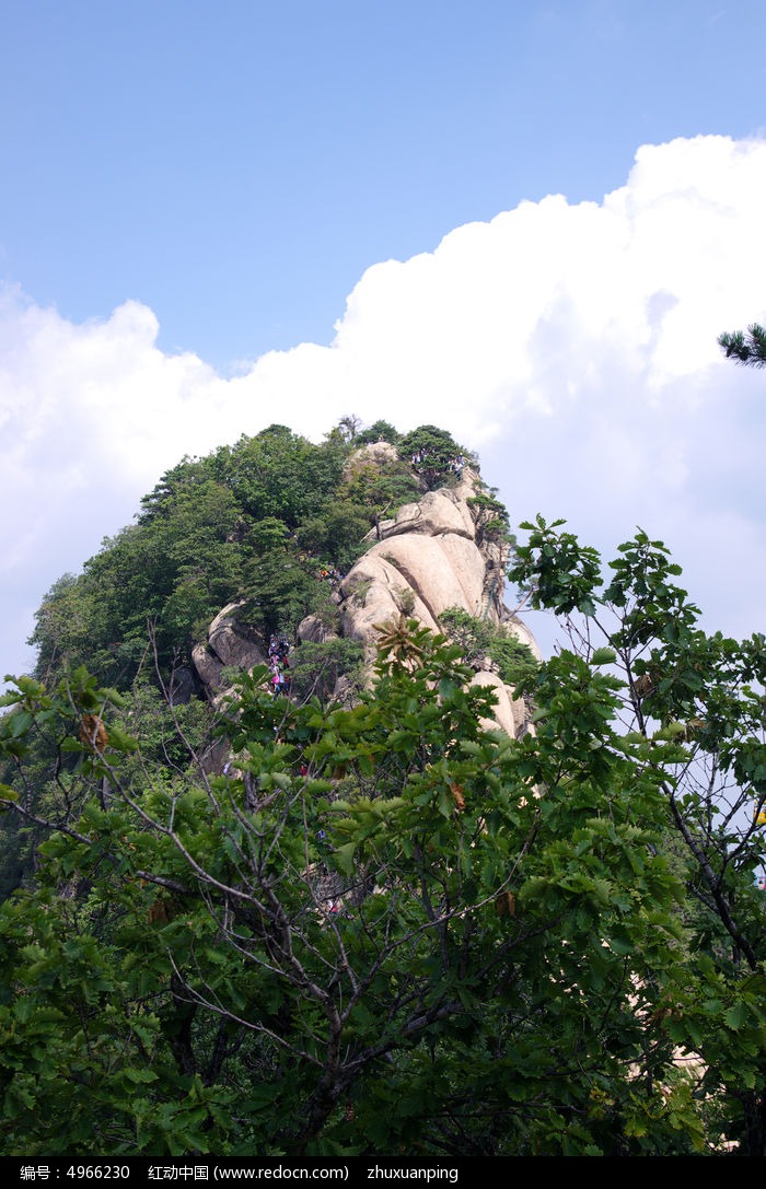 雄伟的高山