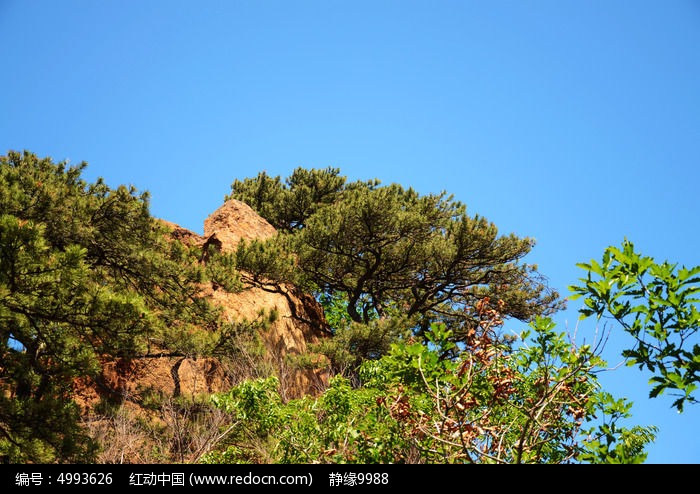 千山五佛顶景区的松树与山峰图片,高清大图_山