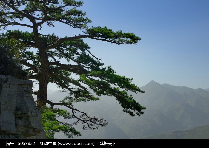 恒山松高清图片下载_红动中国