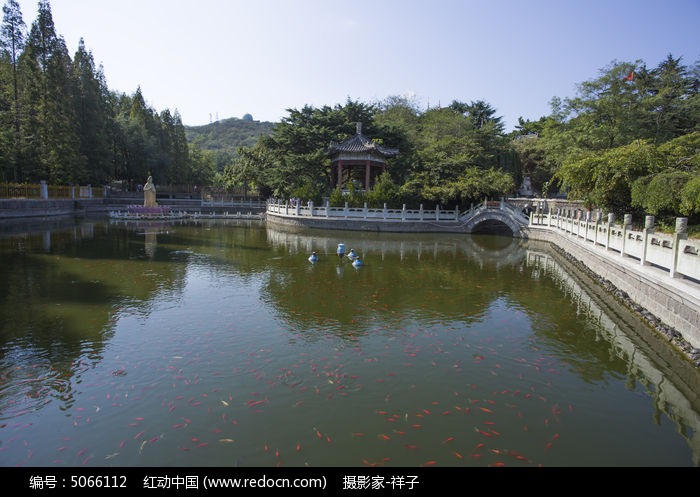 湛山寺的放生池