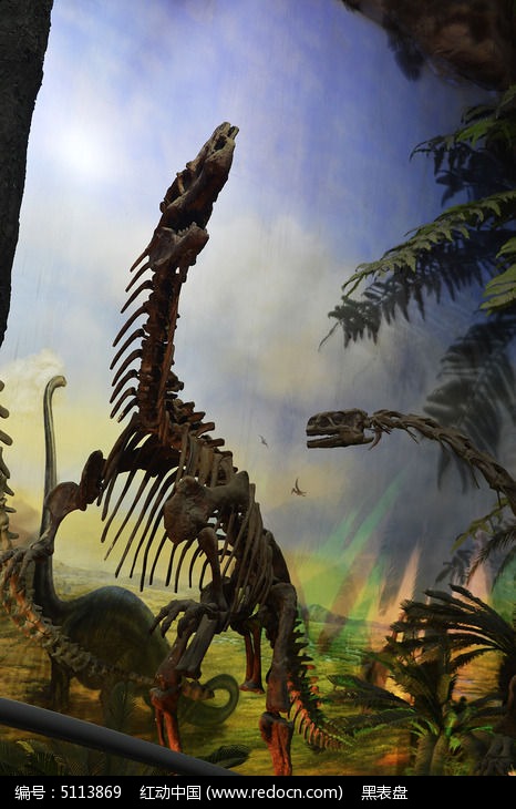 巨大的恐龙骨架