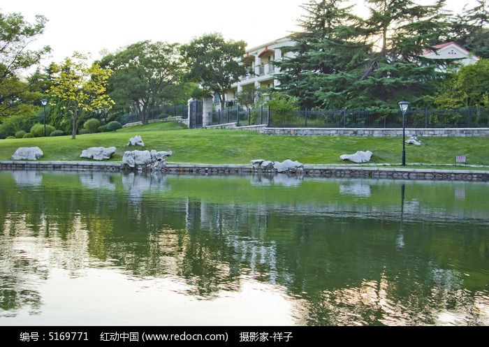 池塘的景观