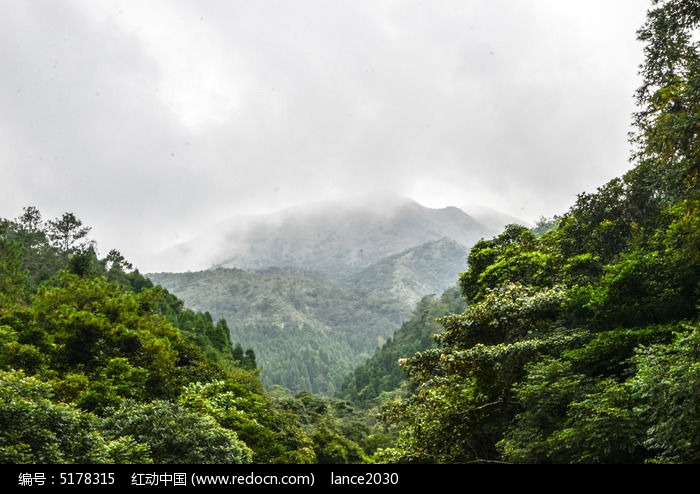 原创摄影图 自然风景 森林树林 仙人洞的大山