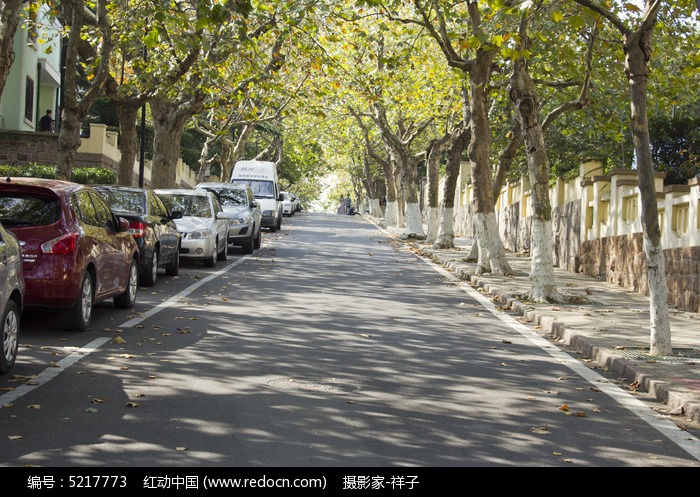 马路的风景