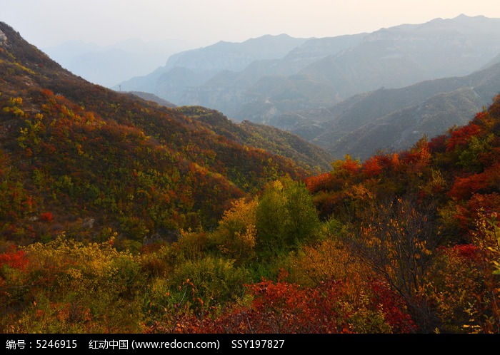 太行山秋天色彩