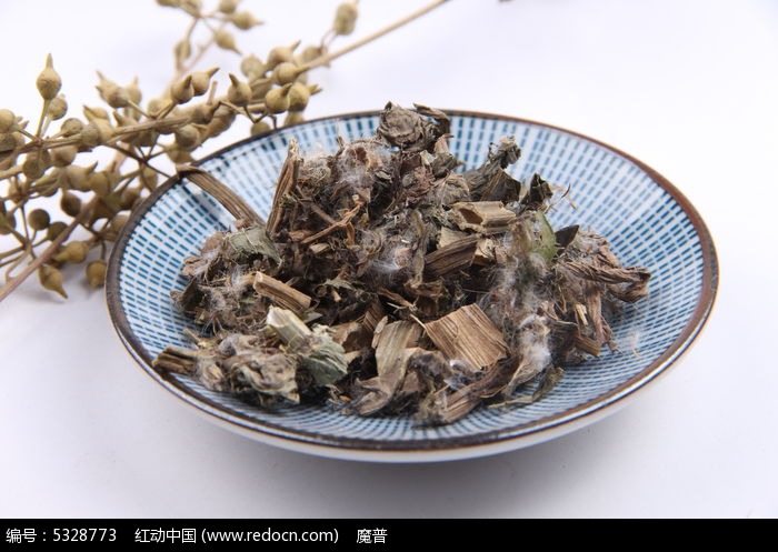 中药材狗舌草图片