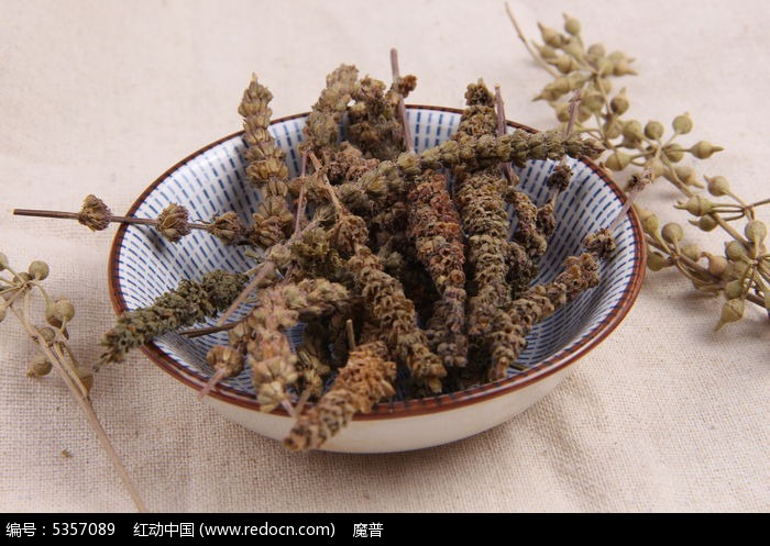 中药荆芥穗