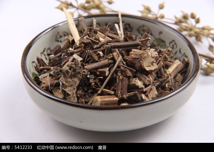 中药香茶菜