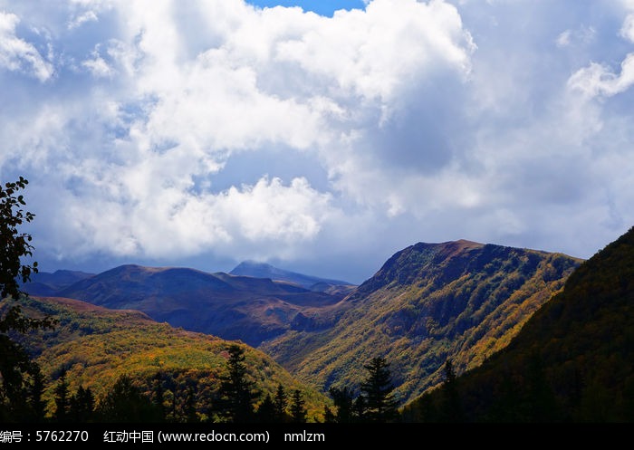 长白山山林风景高清图片下载_红动中国