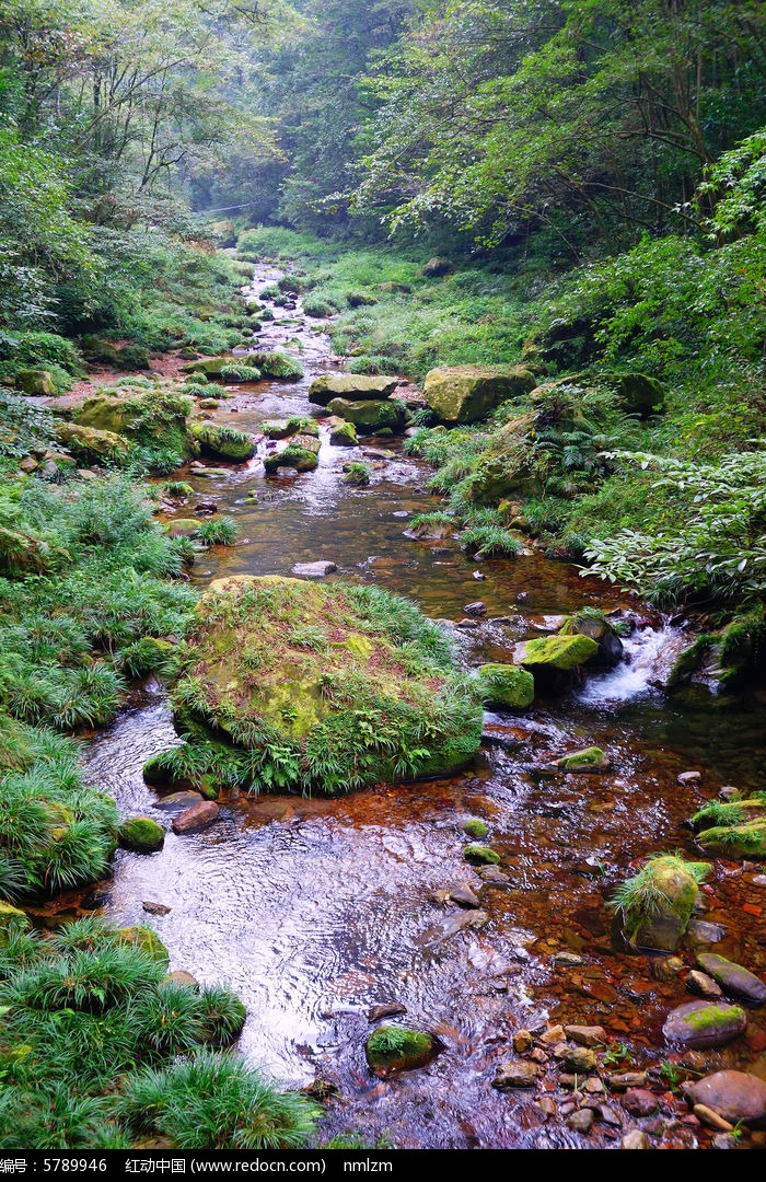 张家界金鞭溪溪水风景