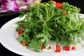 凉拌苦菊
