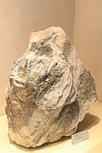 石英脉型金矿石