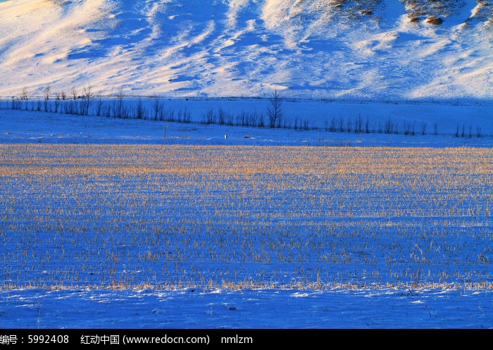 雪原农田雪景风光