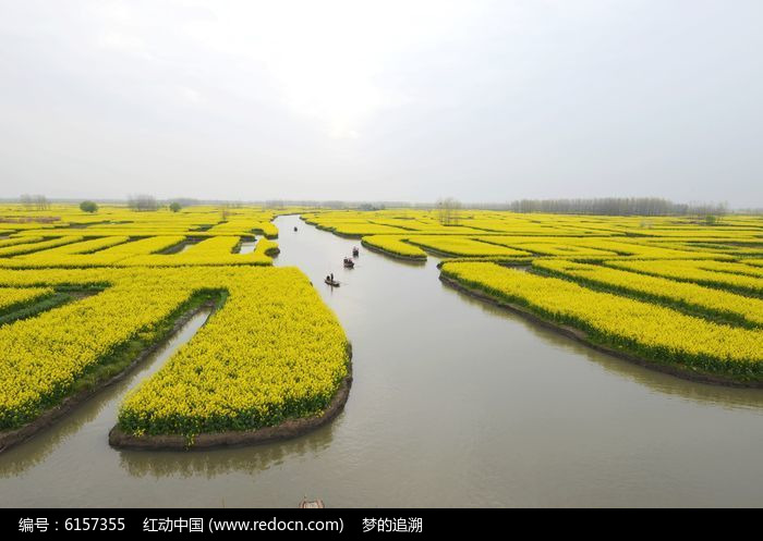 千垛油菜花