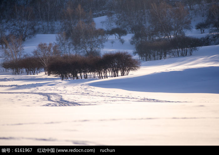 冬季雪天景物