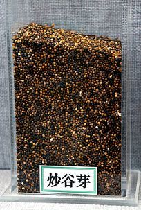 谷芽图片_谷芽设计素材