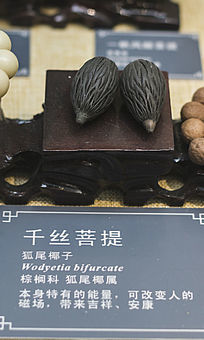凤眼菩提手串和千丝菩提
