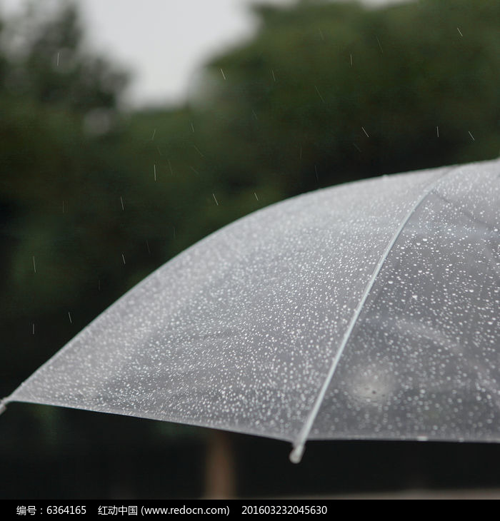 雨天落满雨滴的伞