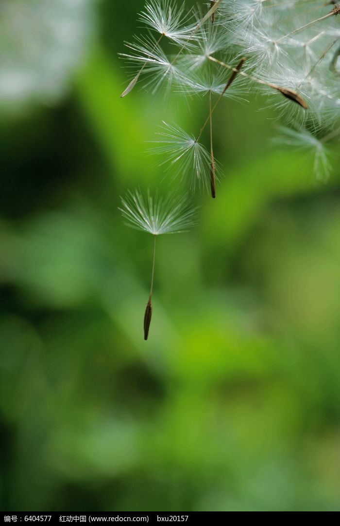 分手时刻