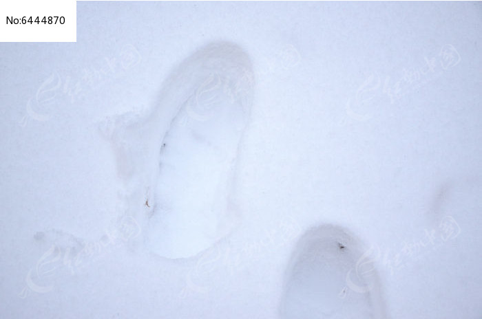 雪地里的脚印