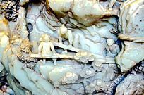 跑马山上那朵云曲谱