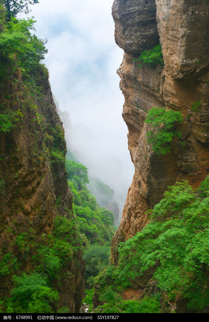 太行山谷中的绿意图片