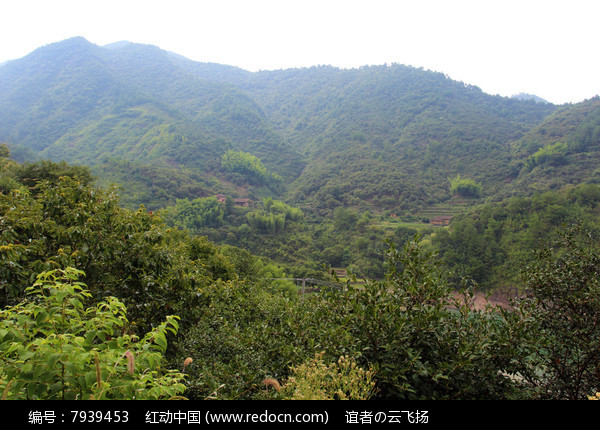 青山 绿山