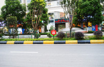 城市道路绿化和温馨提示牌