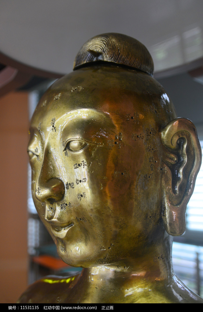 中医古代针灸铜人头部经络穴位