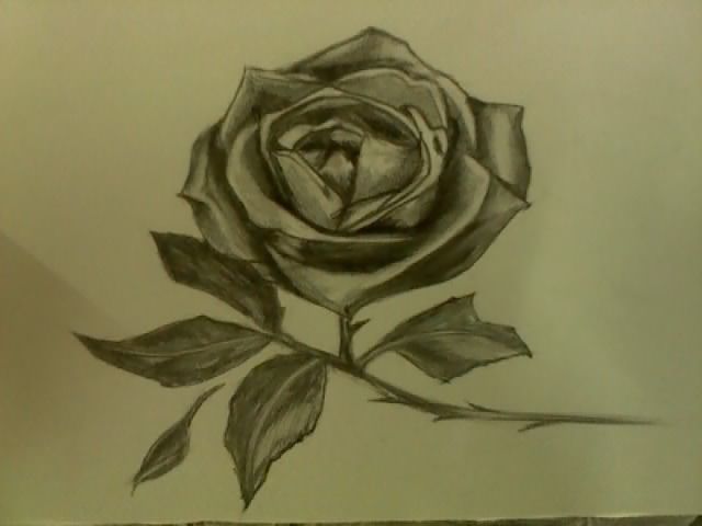 铅笔画景物简单图片展示