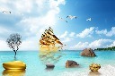 时尚大气装饰器
