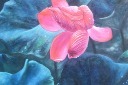 荷花花卉装饰画