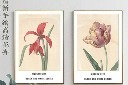 淡雅手绘兰花装饰画