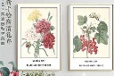 清新淡雅花卉装饰画
