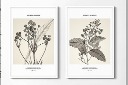 北欧风花卉装饰画