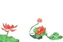 手绘荷花荷叶植物元素