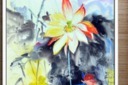 手绘荷花装饰画