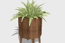 简约植物装饰盆栽