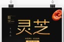 灵芝中药海报设计