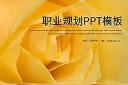 黄色职业规划ppt图片