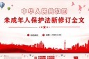 未成年保护法学习解读PPT模板