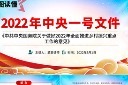 中央一号文件精神PPT模板